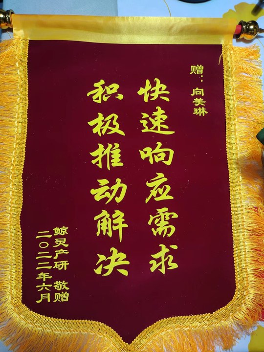 1656556423944.jpg 錦旗.jpg